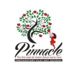 Pinnacle Preparatory Playway School Prayagraj logo