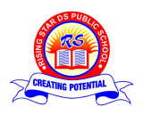 Rising Star DS Public School Prayagraj logo